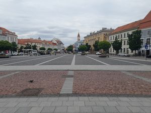 Веган-места в Вильнюсе