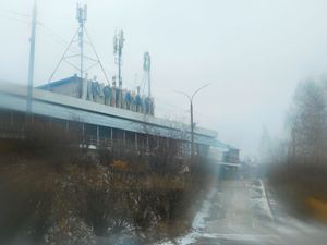 Трансляция: Екатерина о веганстве в Котласе